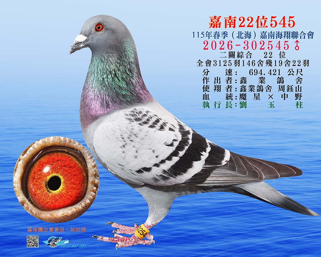 嘉南22位545
