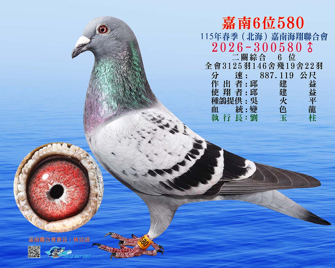 嘉南6位580