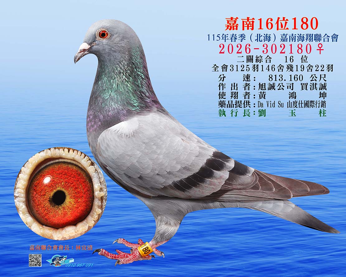 嘉南16位180
