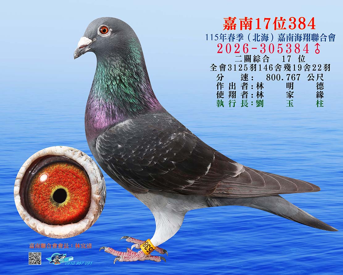 嘉南17位384
