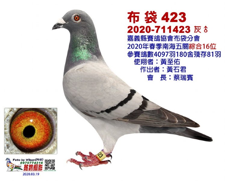 布袋426(五關綜合16位)
