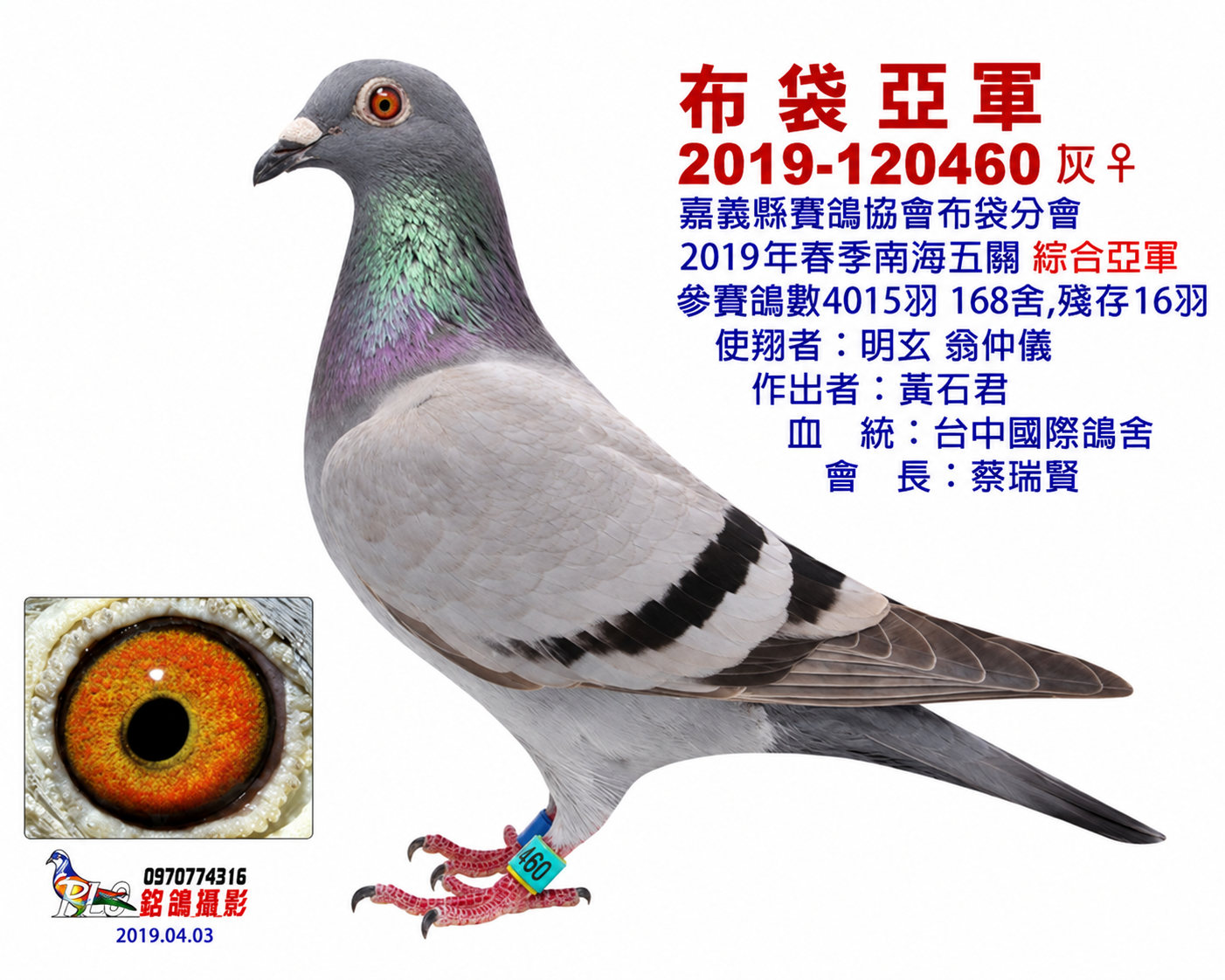 布袋亞軍460(五關綜合亞軍)