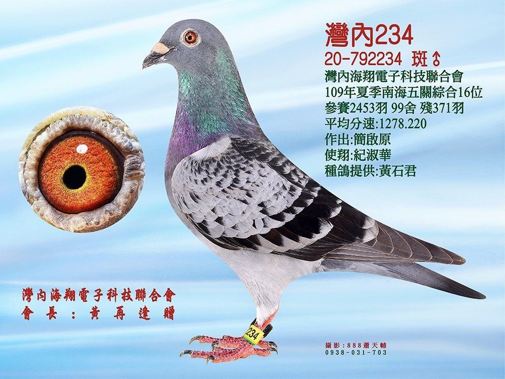 灣內234(五關綜合16位)