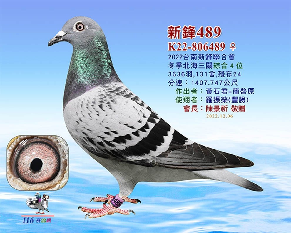 新鋒殿軍489(三關綜合殿軍)
