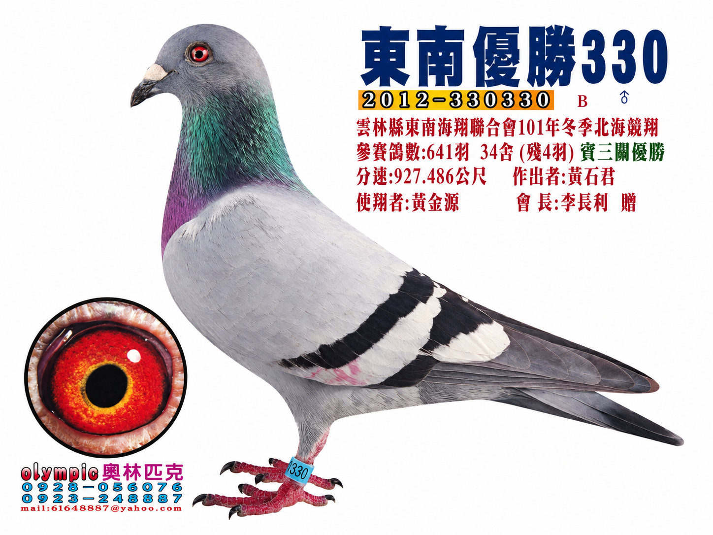東南330(三關優勝殘存4羽)