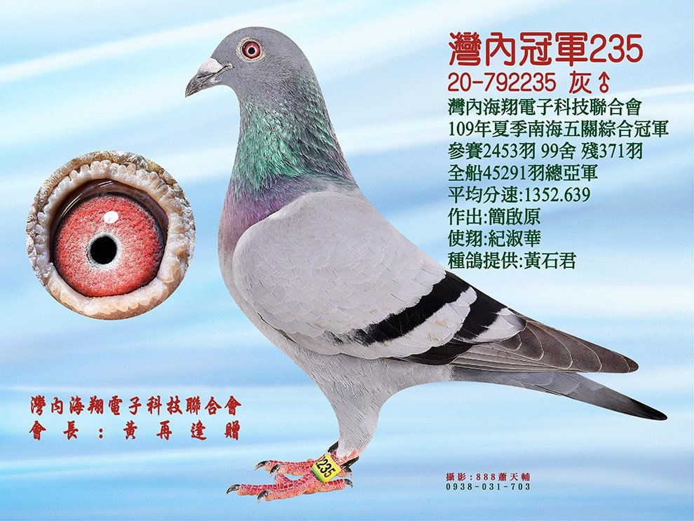 灣內冠軍235(五關綜合冠軍)