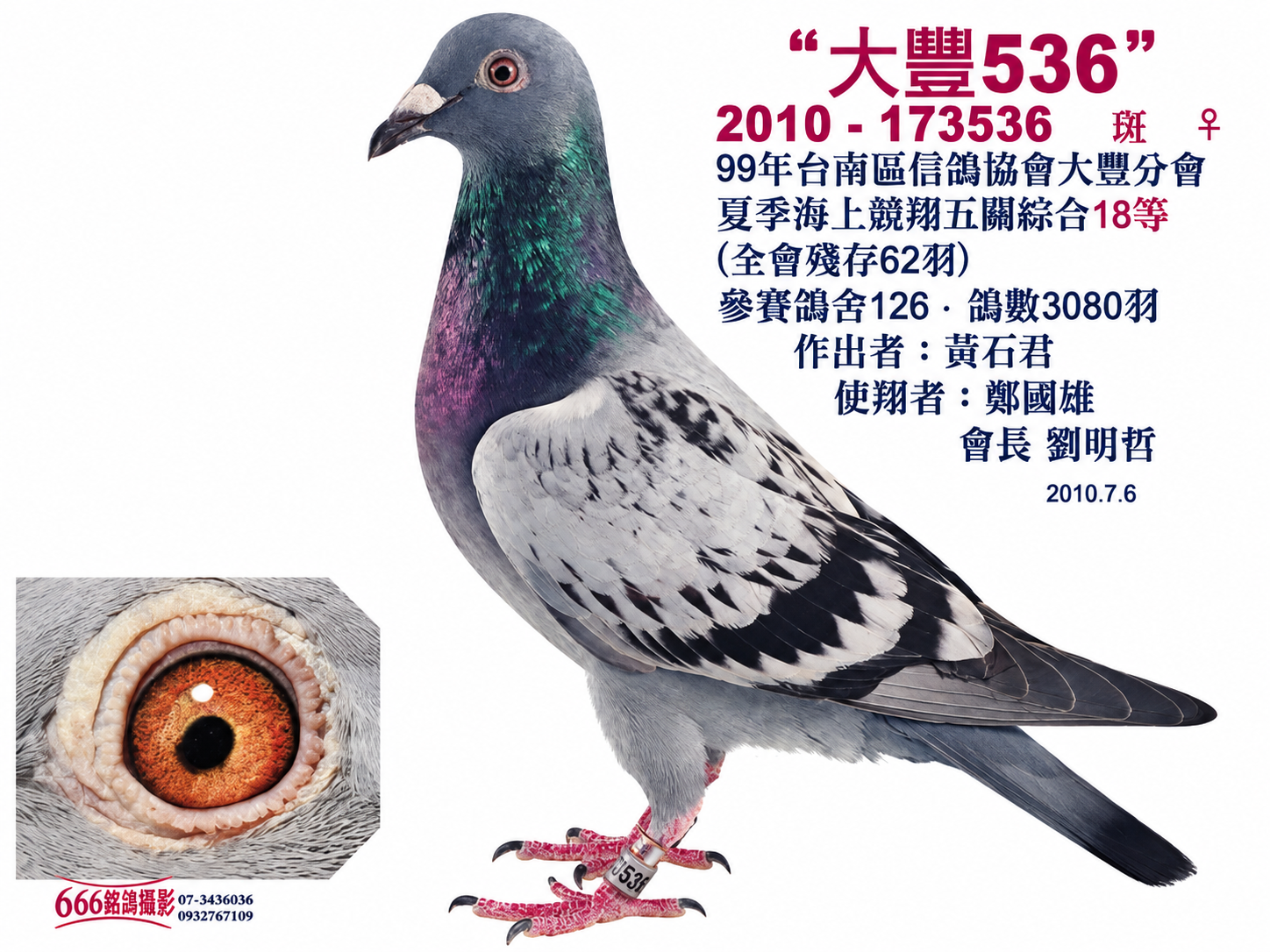 大豐536(五關綜合18位)