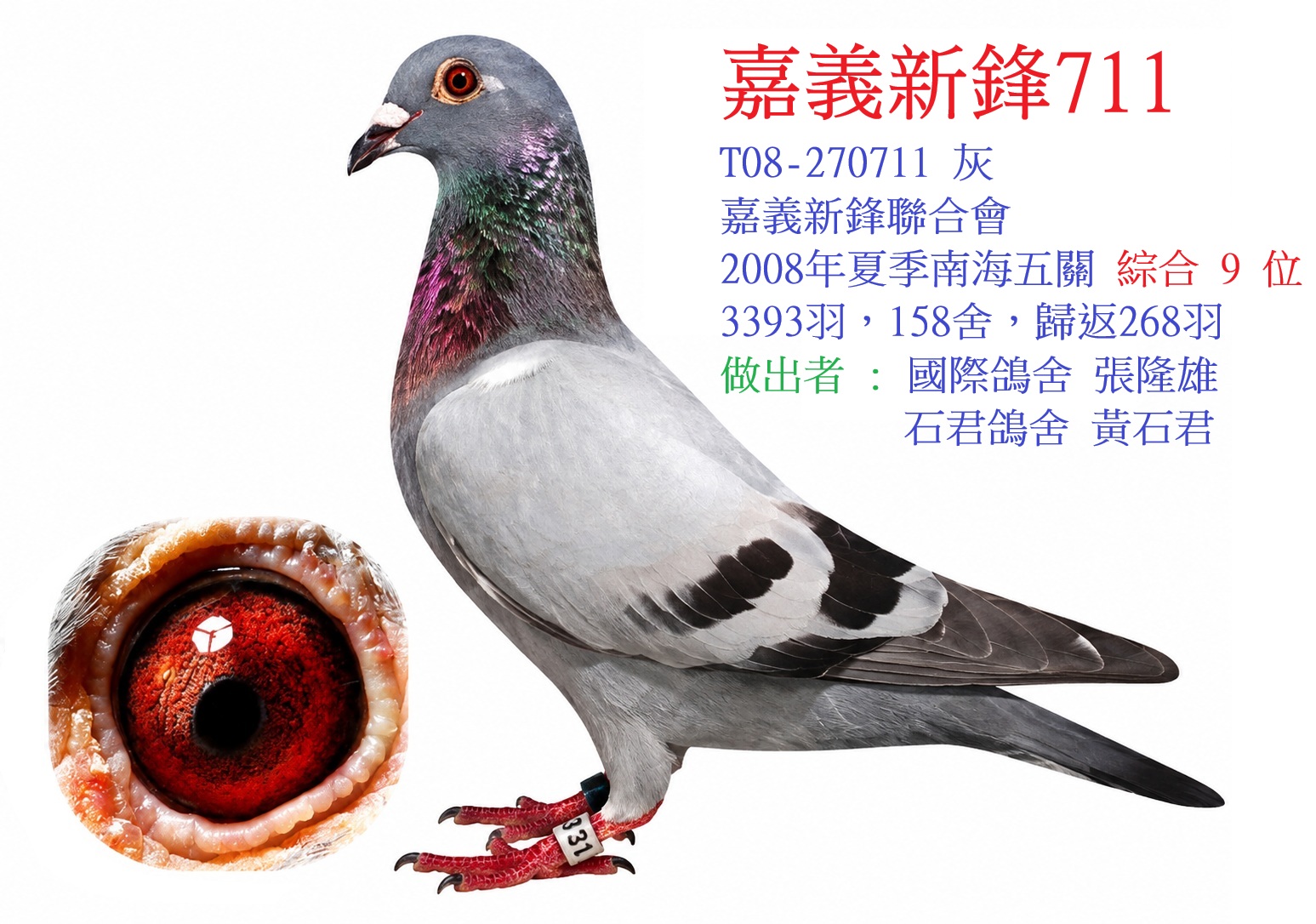 新鋒711(五關綜合9位)