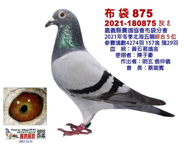 布袋875(五關綜合5位)
